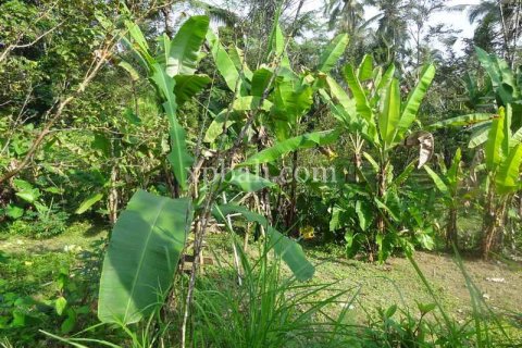 20252m2 Land in Ubud, Gianyar, Bali (975) 3