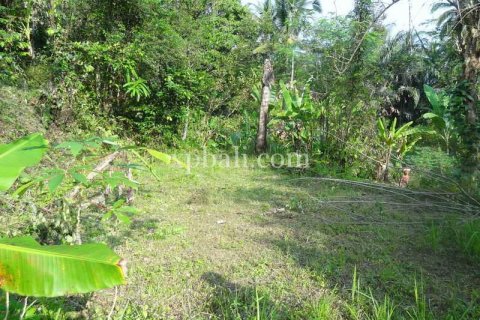 Tanah kavling 20252m2 di Ubud, Gianyar, Bali (975)