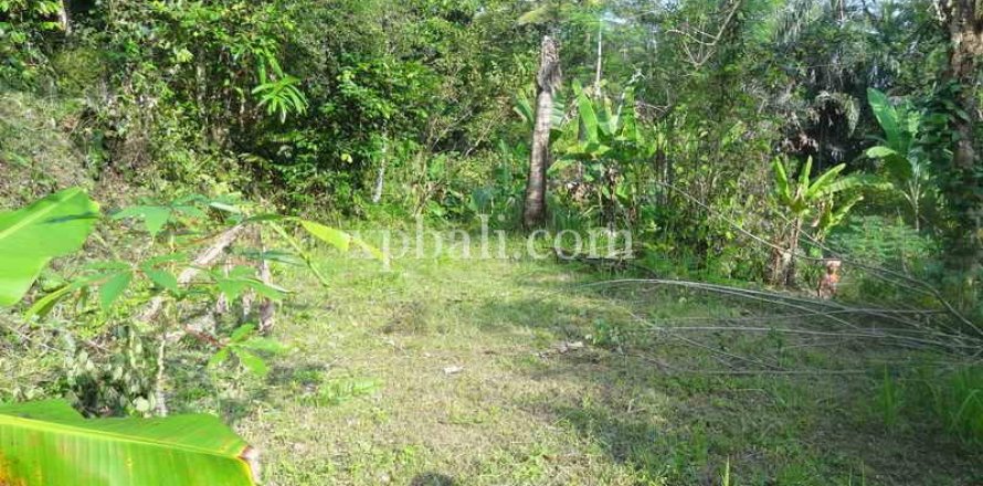 20252m2 Land in Ubud, Gianyar, Bali (975)