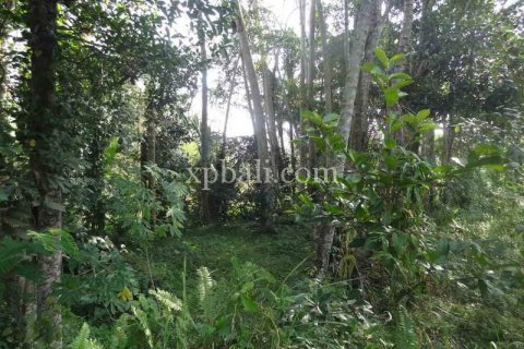 20252m2 Land in Ubud, Gianyar, Bali (975) 16