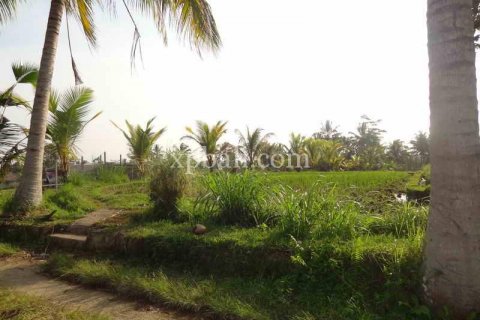 20252m2 Land in Ubud, Gianyar, Bali (975) 14