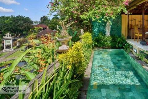 1 bedroom Villa in Karangasem, Karang Asem, Bali (13857) 3
