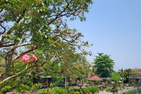 1 bedroom Villa in Karangasem, Karang Asem, Bali (13857) 21