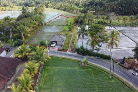 Land in Tabanan, Bali (12207) 2