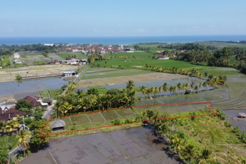 Land in Tabanan, Bali (12207) 3
