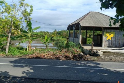 Land in Tabanan, Bali (12207) 6