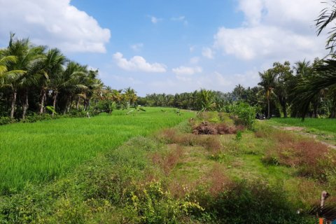 Land in Tabanan, Bali (12207) 4