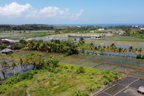 Tanah kavling di Tabanan, Bali (12207)