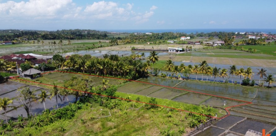 Land in Tabanan, Bali (12207)