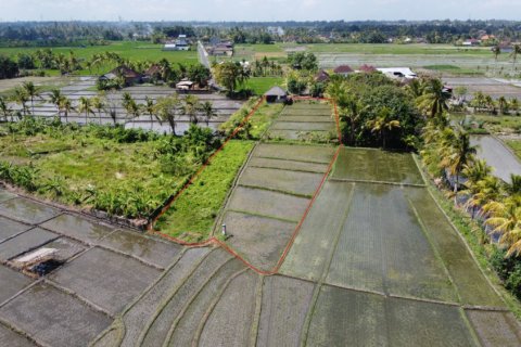 Land in Tabanan, Bali (12207) 5