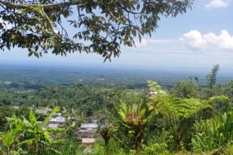 Tanah kavling di Tabanan, Bali (14052)