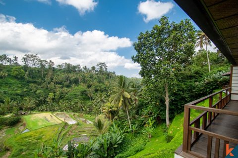 13 bedrooms Villa in Ubud, Gianyar, Bali (11069) 13