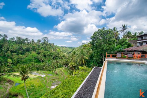 13 bedrooms Villa in Ubud, Gianyar, Bali (11069) 9