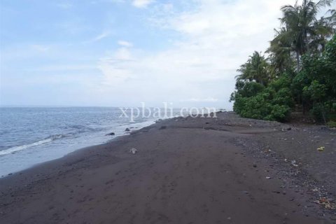 5330m2 Land in Karangasem, Karang Asem, Bali (8523) 5