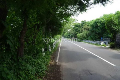 5330m2 Land in Karangasem, Karang Asem, Bali (8523) 12