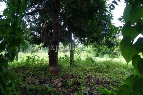 5330m2 Land in Karangasem, Karang Asem, Bali (8523) 2