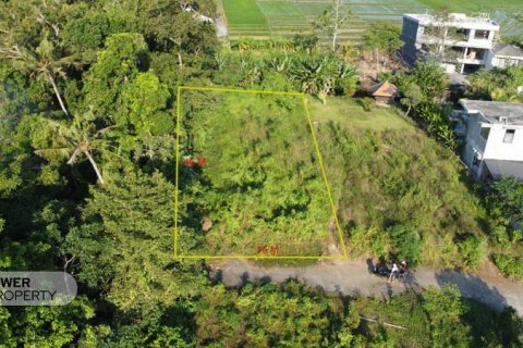 770m2 Land in Tabanan, Bali (8517) 3
