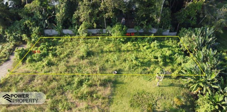 770m2 Land in Tabanan, Bali (8517)