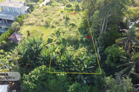 770m2 Land in Tabanan, Bali (8517) 2