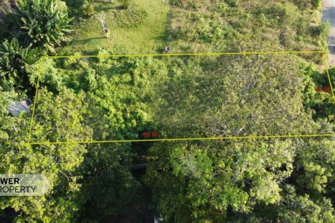 770m2 Land in Tabanan, Bali (8517) 4