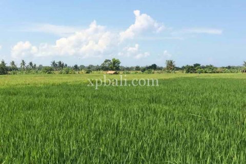 2840m2 Land in Tabanan, Bali (922) 3