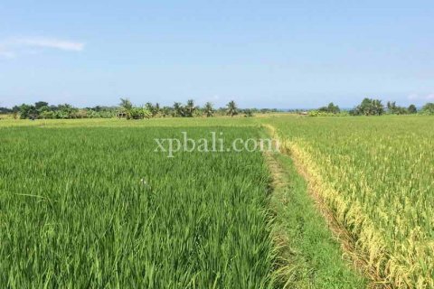 2840m2 Land in Tabanan, Bali (922) 4