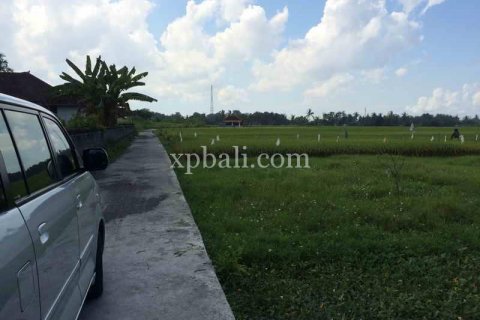 2840m2 Land in Tabanan, Bali (922) 5