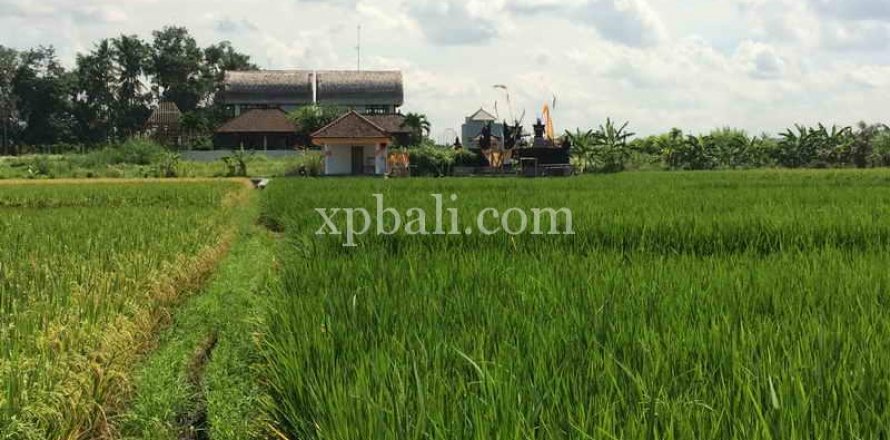 2840m2 Land in Tabanan, Bali (922)