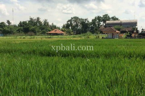 2840m2 Land in Tabanan, Bali (922) 2