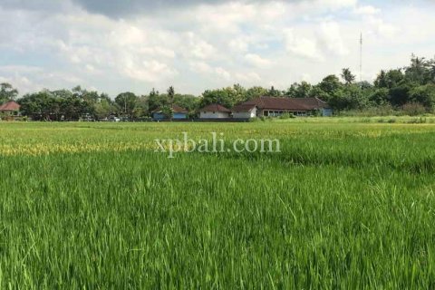 2840m2 Land in Tabanan, Bali (922) 6