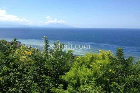 Tanah kavling 8500m2 di Nusa Penida, Klungkung, Bali (925)