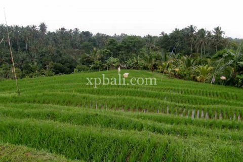 Tanah kavling 4650m2 di Tabanan, Bali (927)