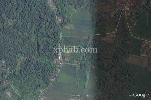 4650m2 Land in Tabanan, Bali (927) 7