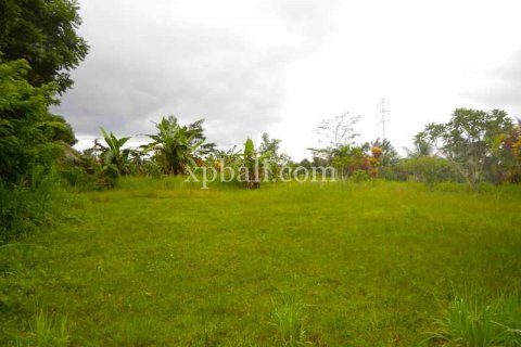 4650m2 Land in Tabanan, Bali (927) 5