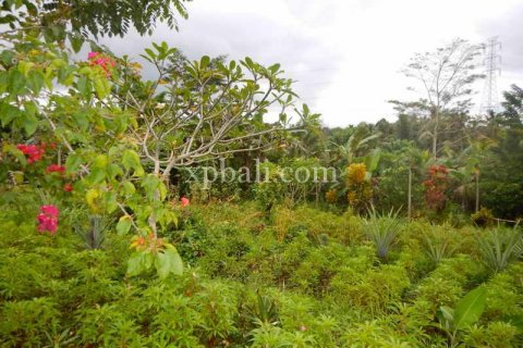 4650m2 Land in Tabanan, Bali (927) 3