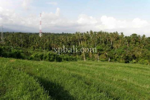 4650m2 Land in Tabanan, Bali (927) 2