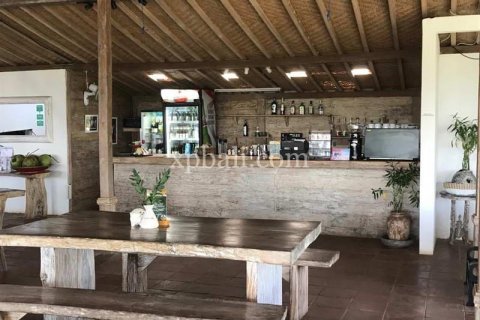 Commercial property in Tabanan, Bali (9214) 9