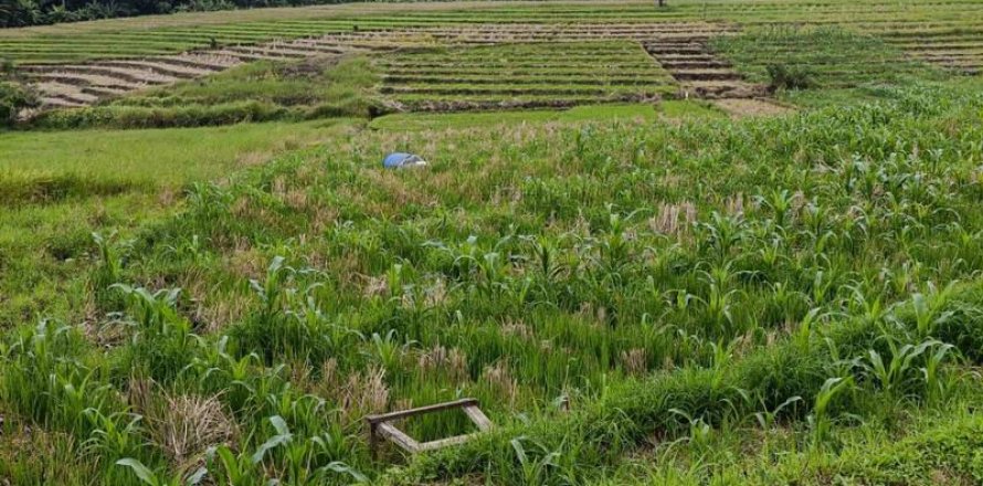 Tanah kavling 2100m2 di Tabanan, Bali (9210)