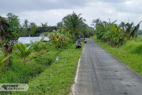 Tanah kavling 2100m2 di Tabanan, Bali (9210) 3