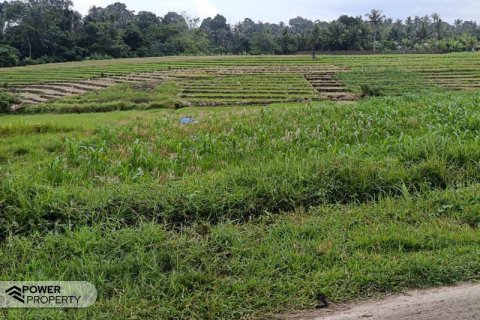 Tanah kavling 2100m2 di Tabanan, Bali (9210) 2