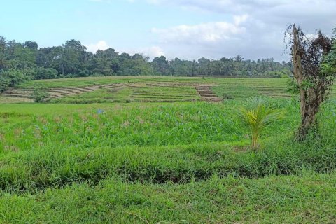 Tanah kavling 2100m2 di Tabanan, Bali (9210) 4