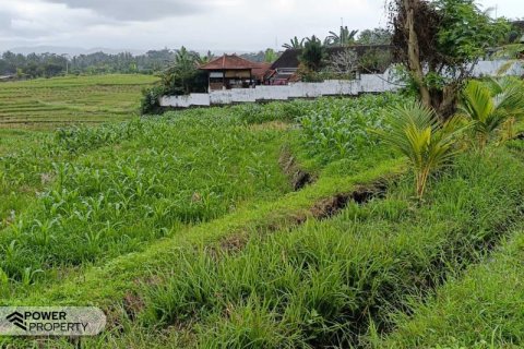 Tanah kavling 2100m2 di Tabanan, Bali (9210) 5