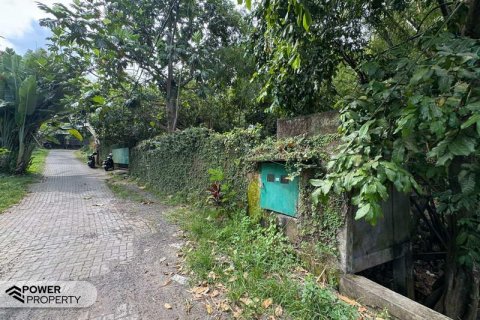1850m2 Land in Canggu, Badung, Bali (9213) 3