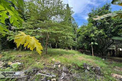 1850m2 Land in Canggu, Badung, Bali (9213) 8