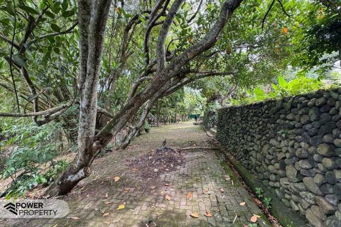 1850m2 Land in Canggu, Badung, Bali (9213) 9