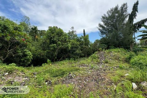 1850m2 Land in Canggu, Badung, Bali (9213) 6