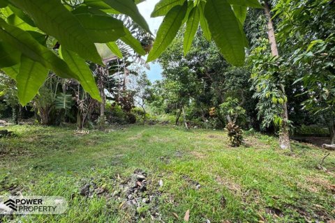 1850m2 Land in Canggu, Badung, Bali (9213) 7