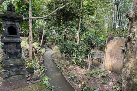 1850m2 Land in Canggu, Badung, Bali (9213) 5