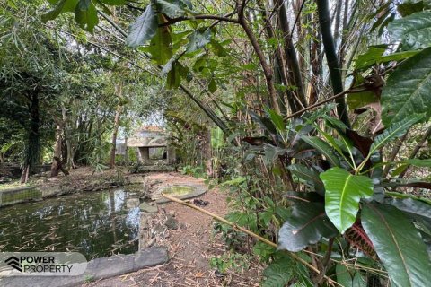 1850m2 Land in Canggu, Badung, Bali (9213) 16