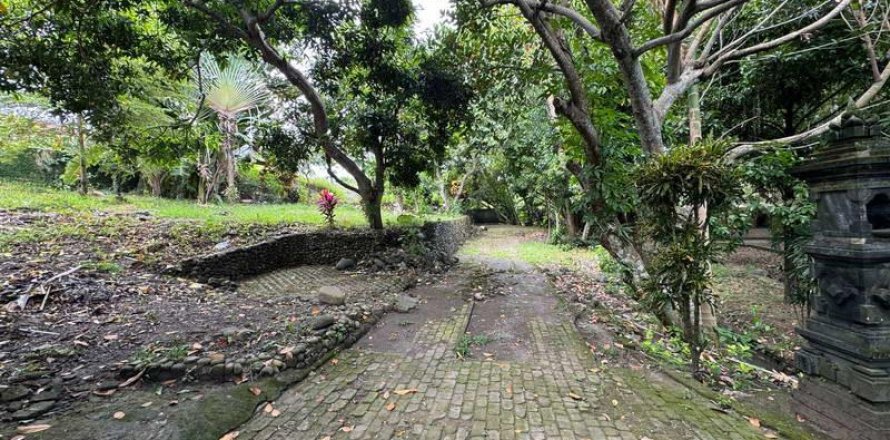 1850m2 Land in Canggu, Badung, Bali (9213)